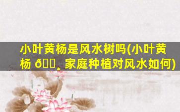 小叶黄杨是风水树吗(小叶黄杨 🌸 家庭种植对风水如何)